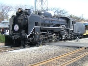 d51