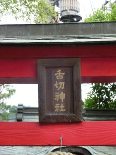 CIMG2479