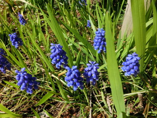 CIMG0479