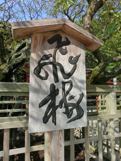 CIMG0484