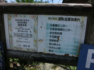 CIMG9781