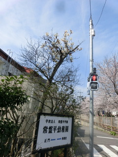 CIMG0543
