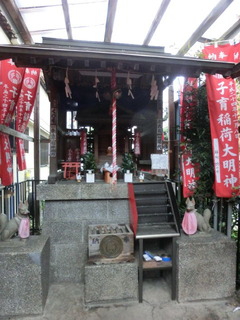 CIMG6595