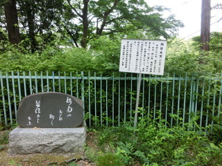 CIMG2438