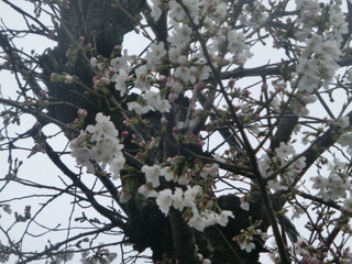 CIMG0216