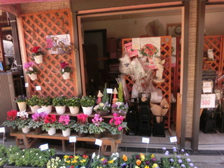 CIMG7542