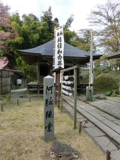 CIMG1367