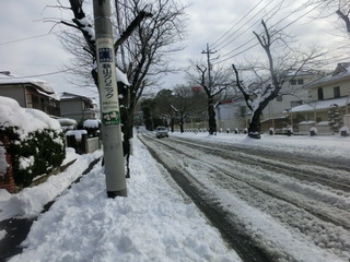 CIMG7869