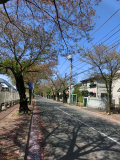 CIMG1289