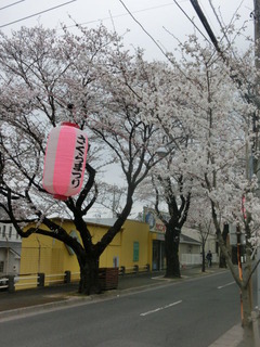 CIMG0218