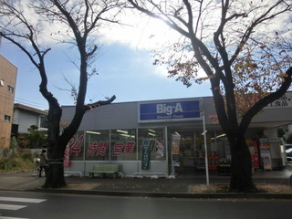 CIMG6905