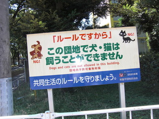 CIMG3972