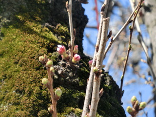 CIMG0032