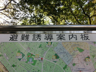 CIMG6583