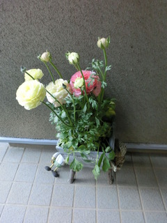 CIMG0068
