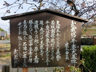 CIMG1415