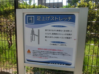 CIMG8806