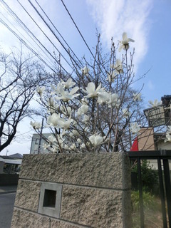 CIMG0081
