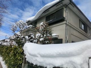 CIMG7875