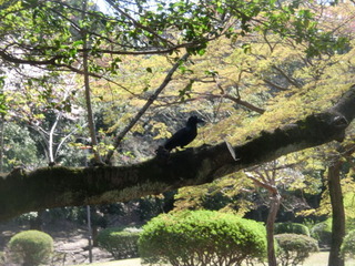CIMG8681