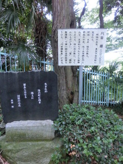CIMG2444