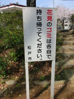 CIMG8590
