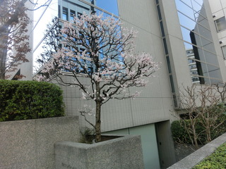 CIMG0025