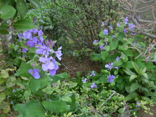 CIMG0244