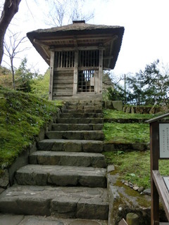 CIMG1373
