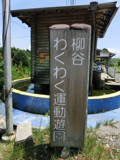 CIMG9782
