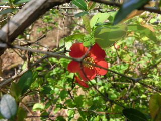 CIMG0449
