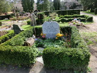 CIMG0974
