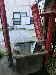 CIMG6605