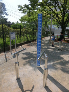 CIMG8805
