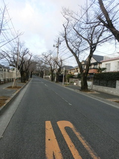 CIMG5119