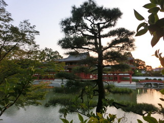 CIMG0184