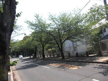 CIMG3622