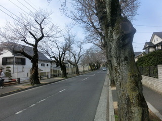 CIMG0070