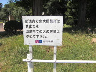 CIMG3967