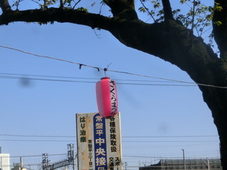 CIMG0638