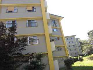CIMG3966
