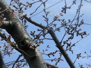 CIMG0089