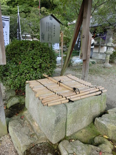 CIMG0493