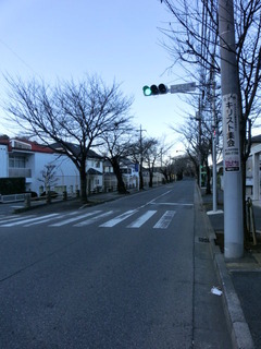 CIMG0675