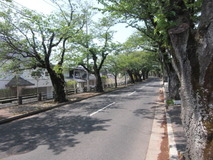 CIMG3613