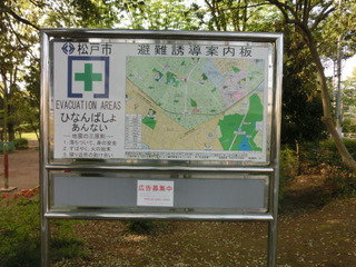 CIMG6582
