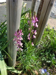 CIMG0484
