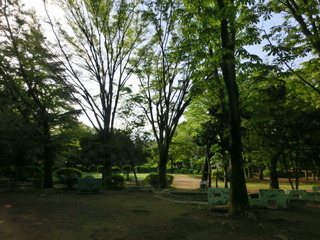 CIMG6560