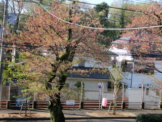 CIMG1281