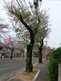 CIMG1266